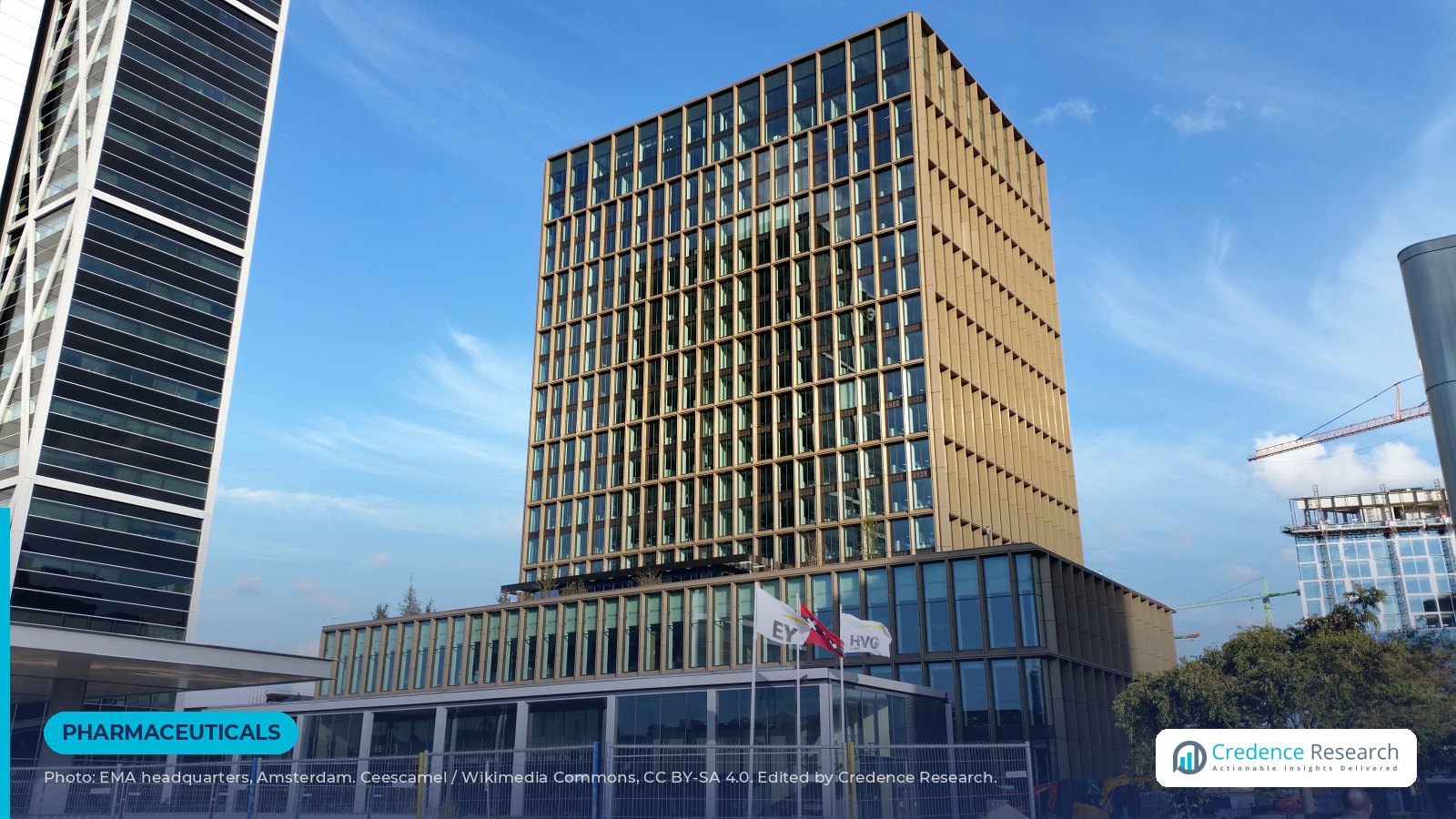 EMA committee backs Revolution Medicines' Rasonque for metastatic pancreatic cancer