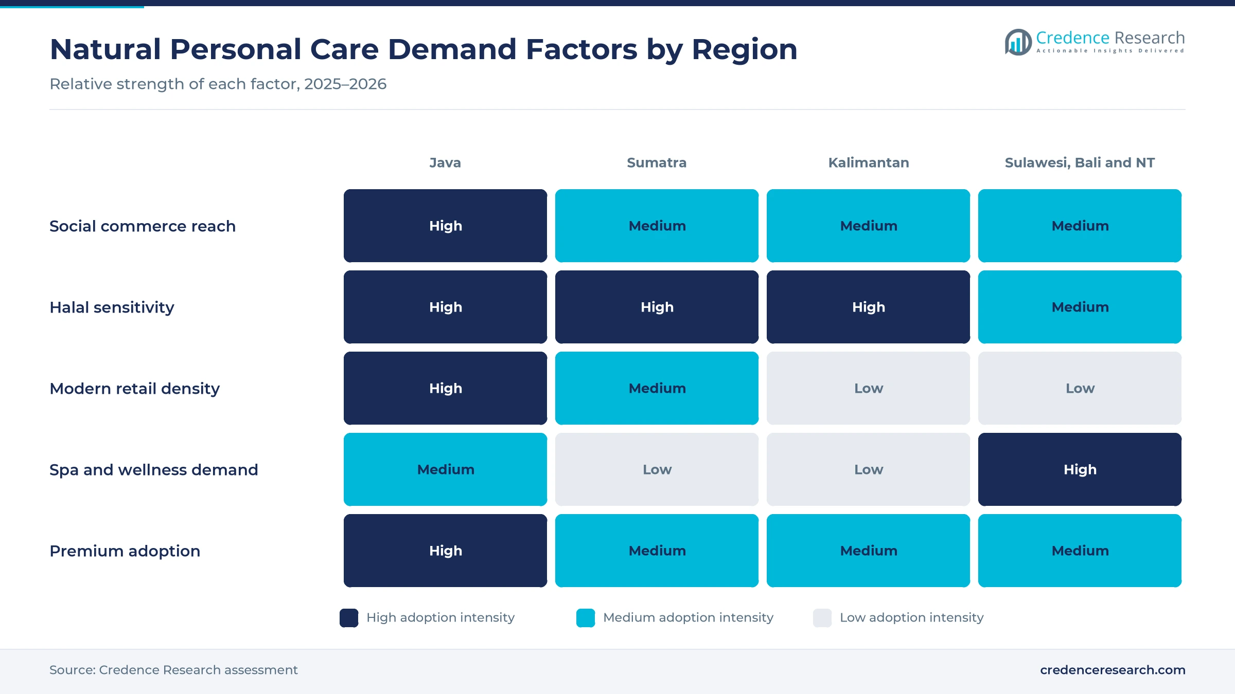 Heatmap rating social commerce reach, halal sensitivity, modern retail density, spa and wellness demand and premium adoption for Java, Sumatra, Kalimantan and Sulawesi, Bali and Nusa Tenggara